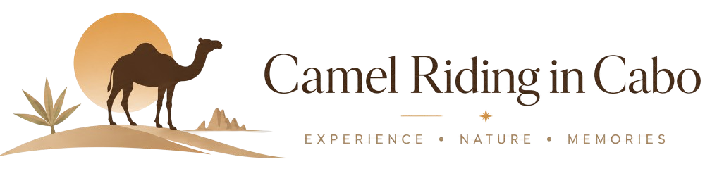 Camel Riding in Cabo