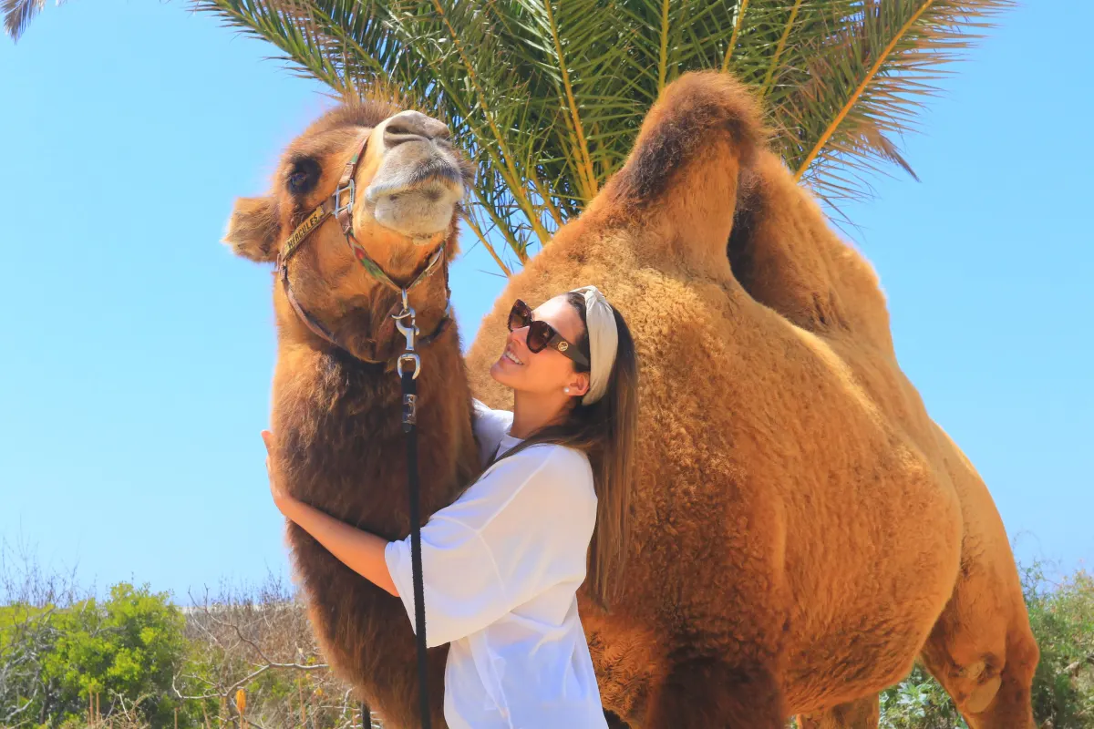 Interaccion especial con camello en Los Cabos