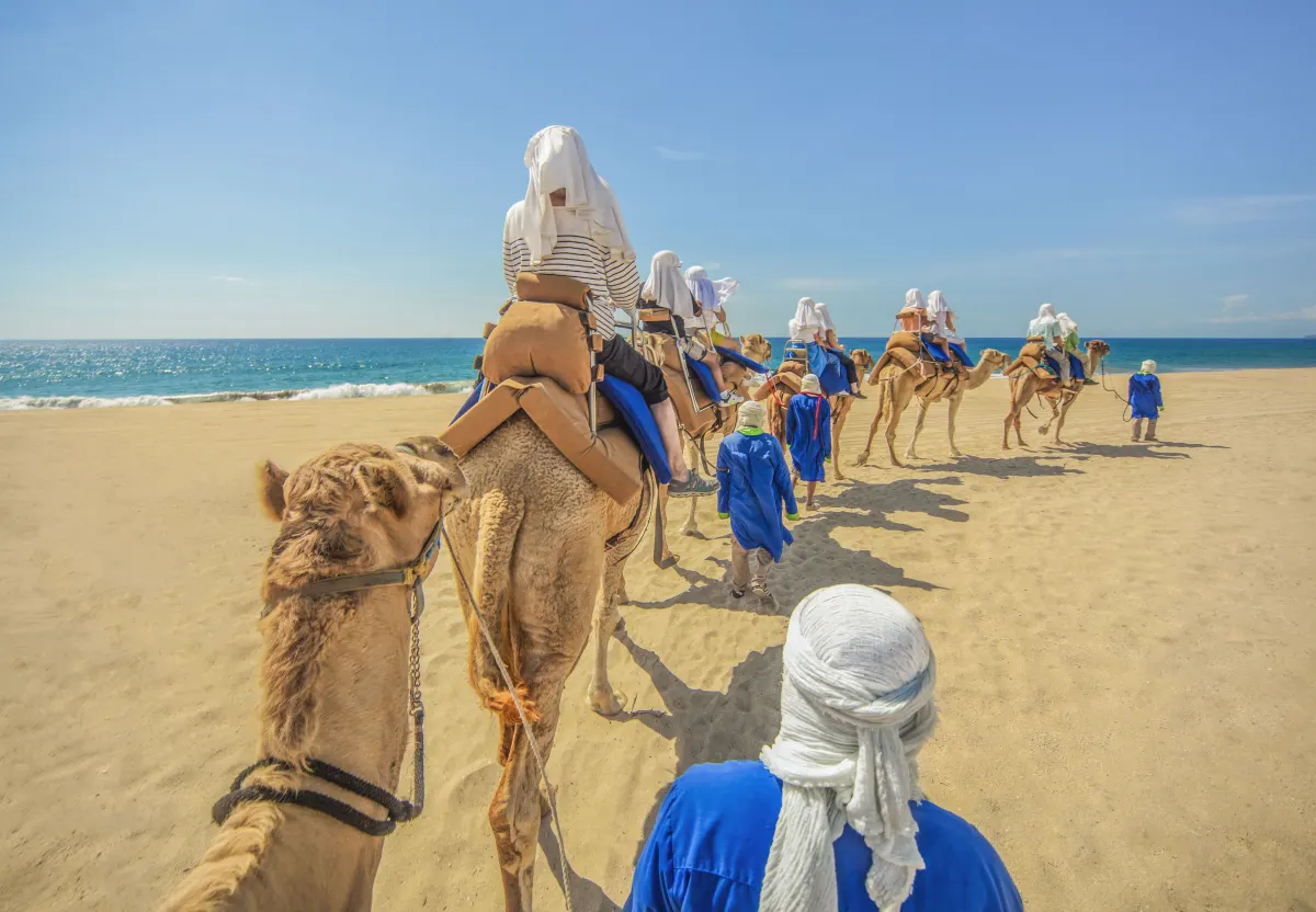 Camel ride in Cabo