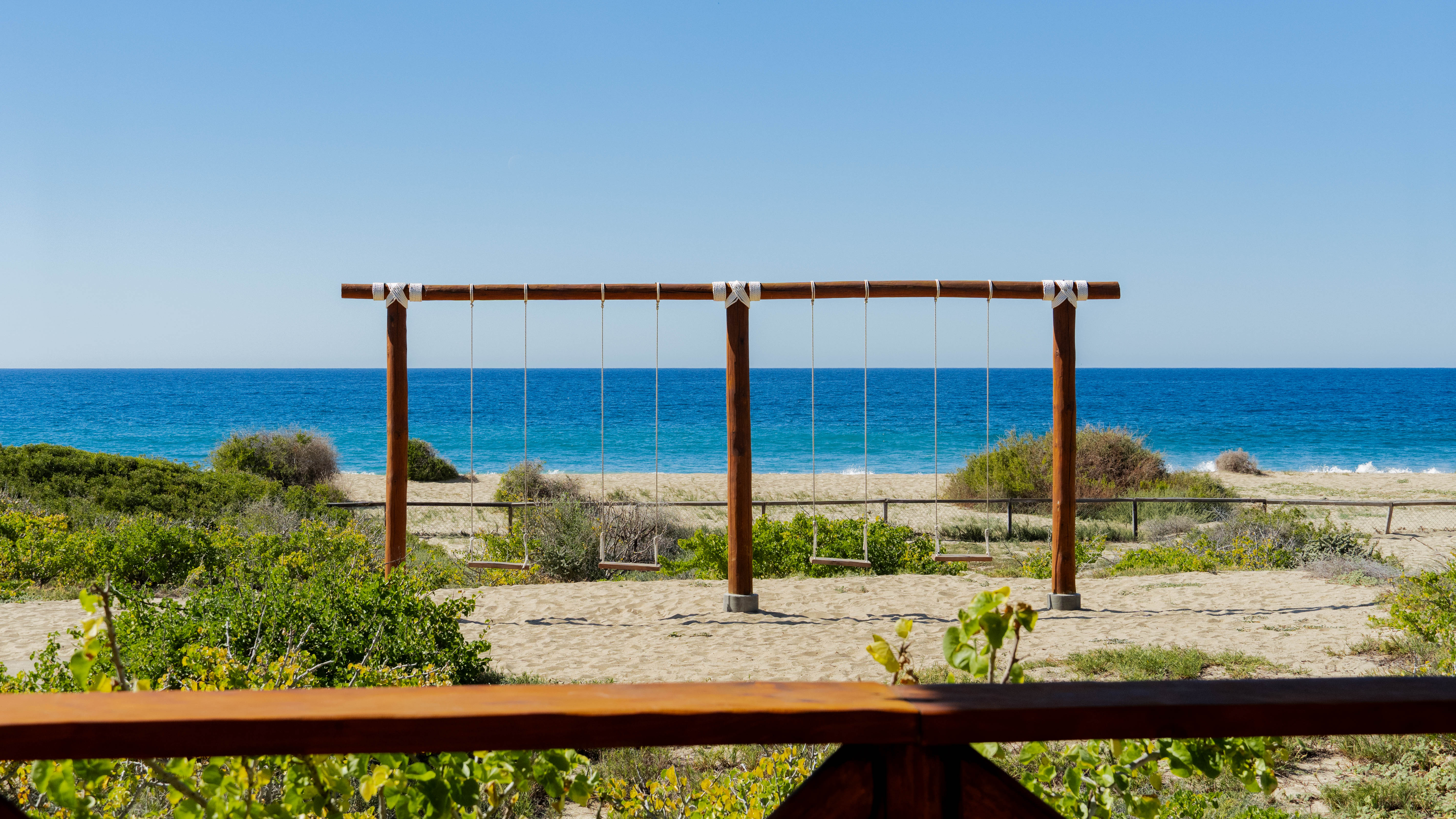 Camel tour gallery image 2