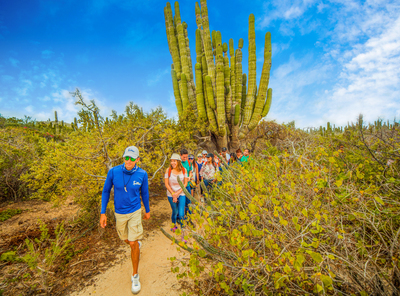 Desert landscape walk during the cultural experience