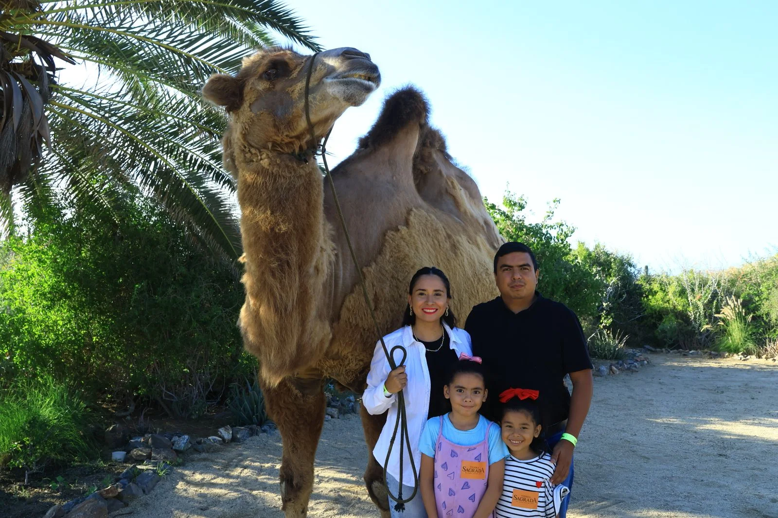 Familia con camello durante una experiencia privada en Los Cabos