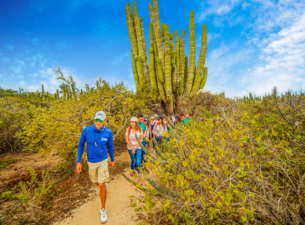 Caminata al aire libre en los cabos