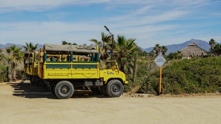 Paseo en safari