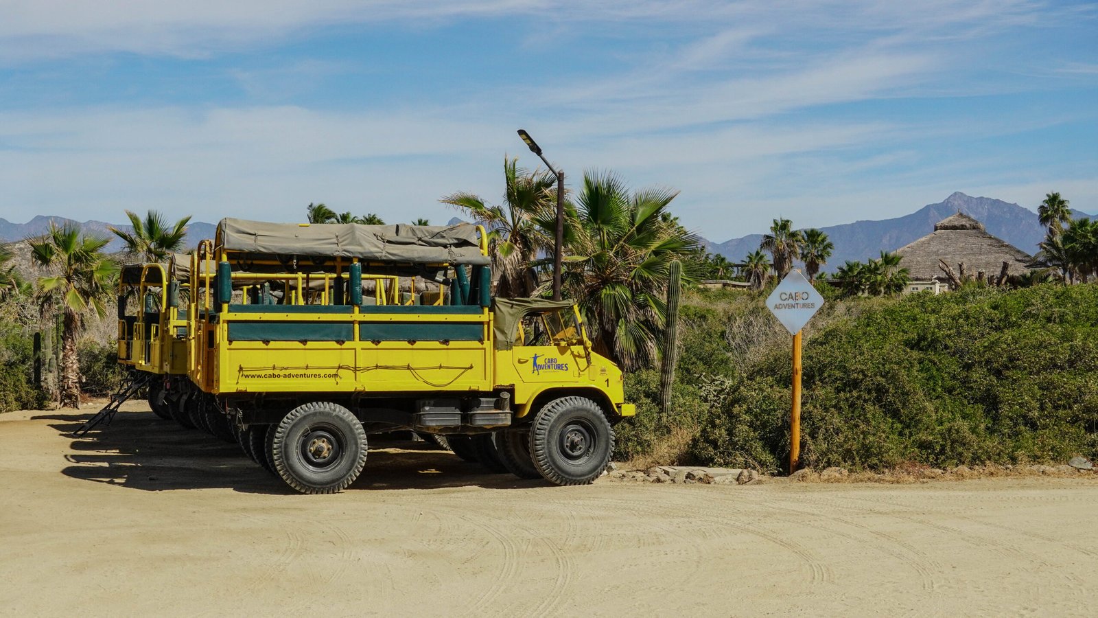 Paseo en safari
