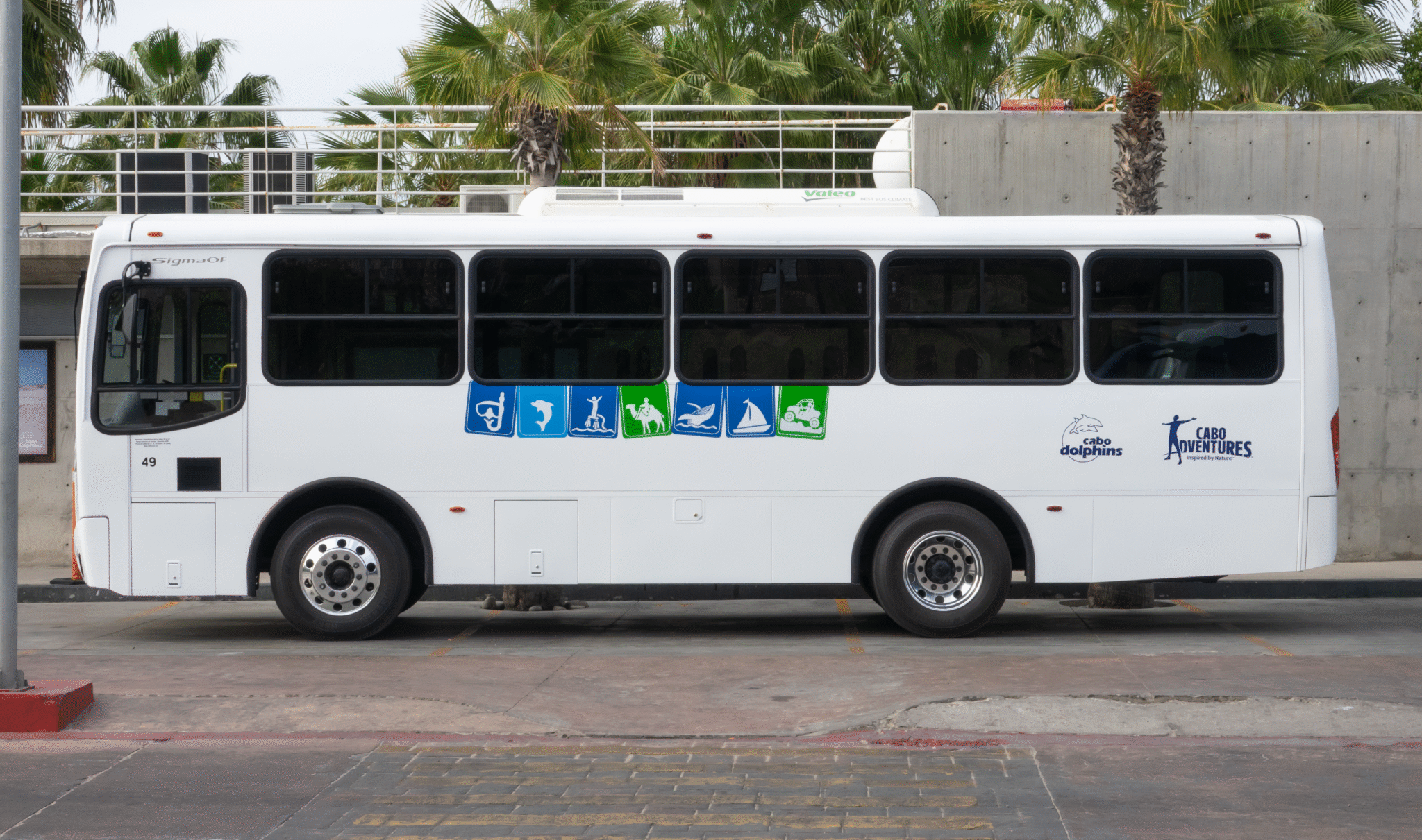 Transportation meeting point in Los Cabos