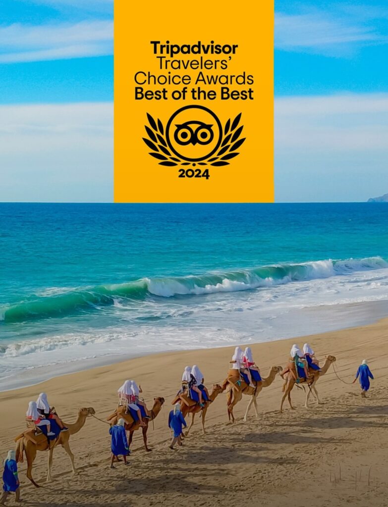 Que hacer en Los Cabos