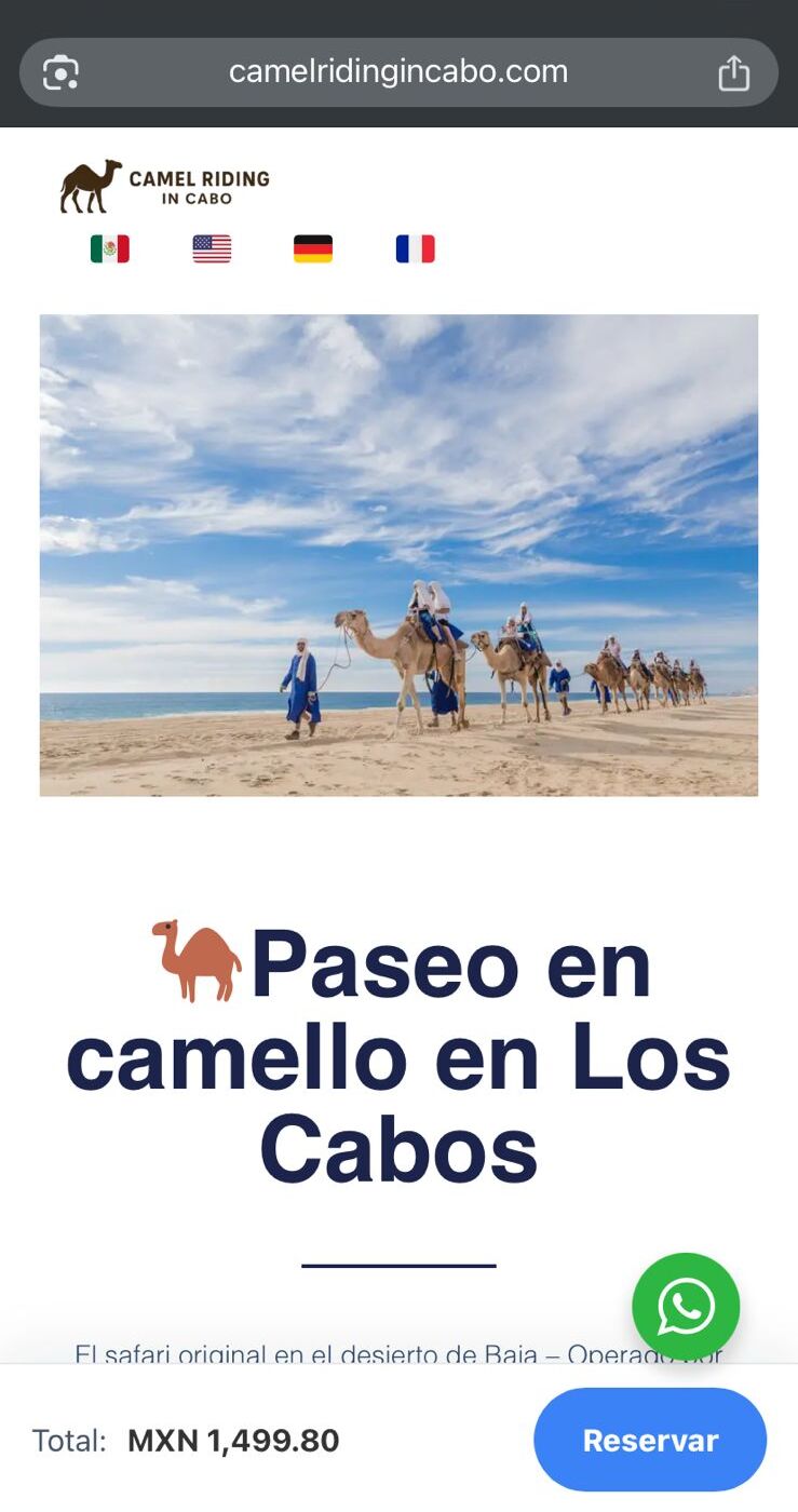 Camel Riding In Cabo Website 1