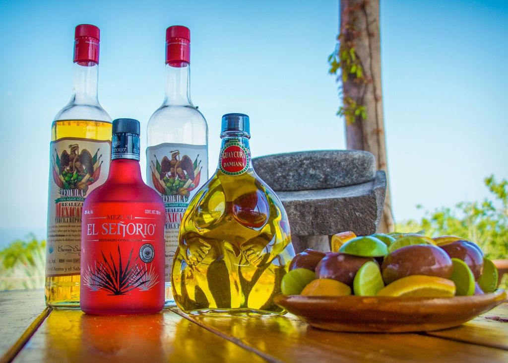 Tequila testing in Camel tour