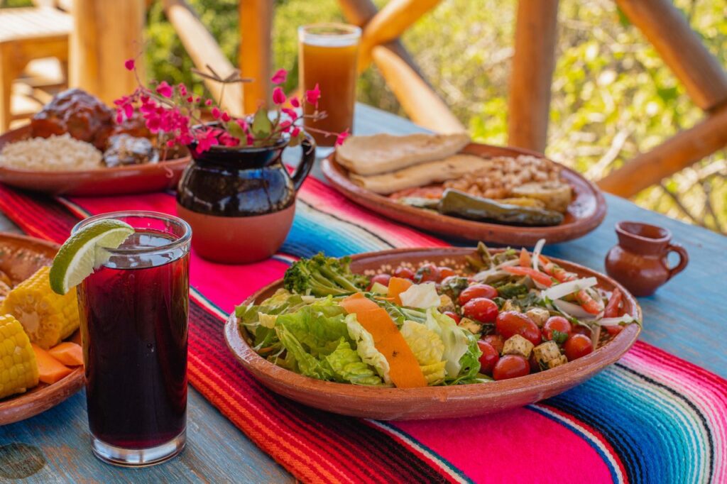 food and beverages in camel tour in cabo