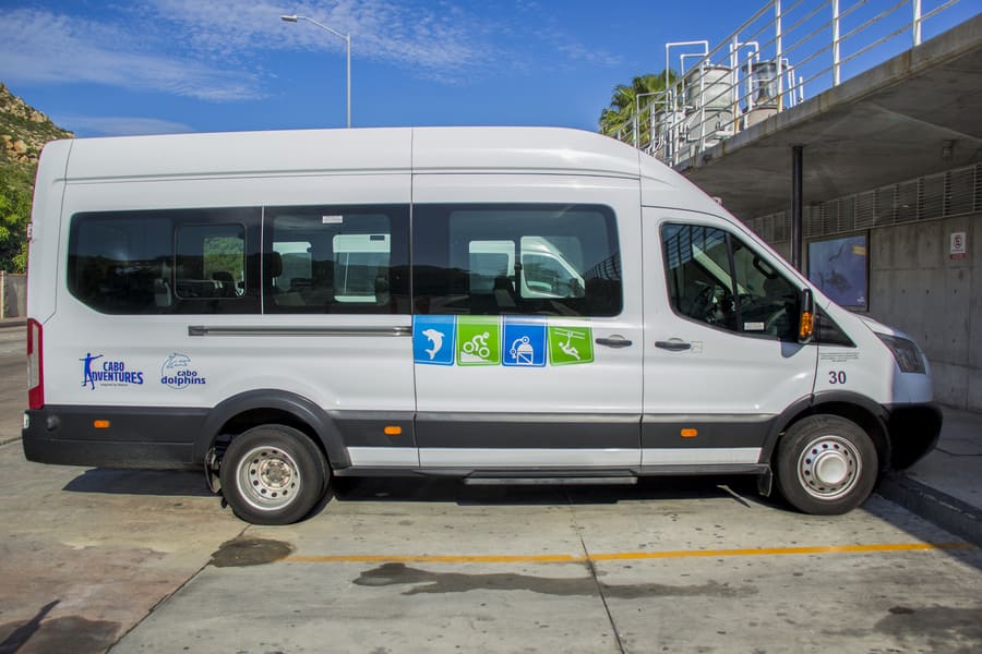 Transportation Camel Ride - Ford1