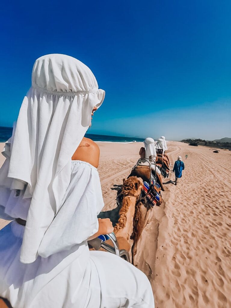 Cabo Camel Ride