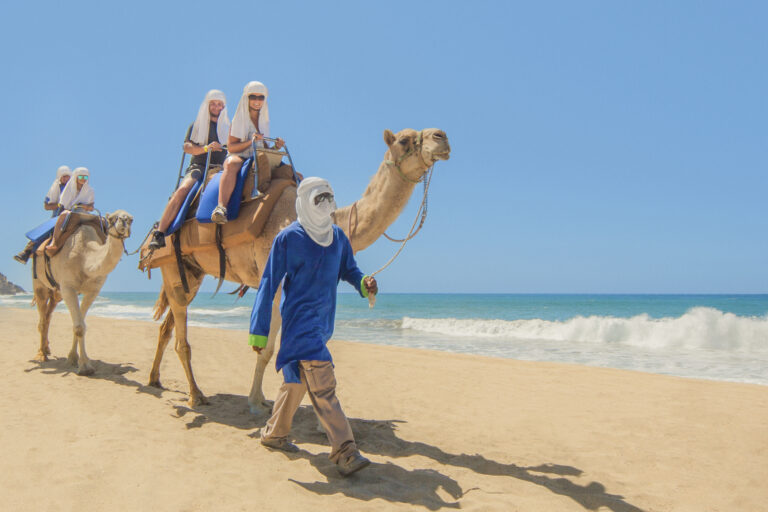 Private Camel Ride